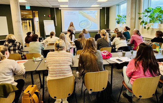 undervisning i klasse